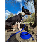 Exemple biothane bleu