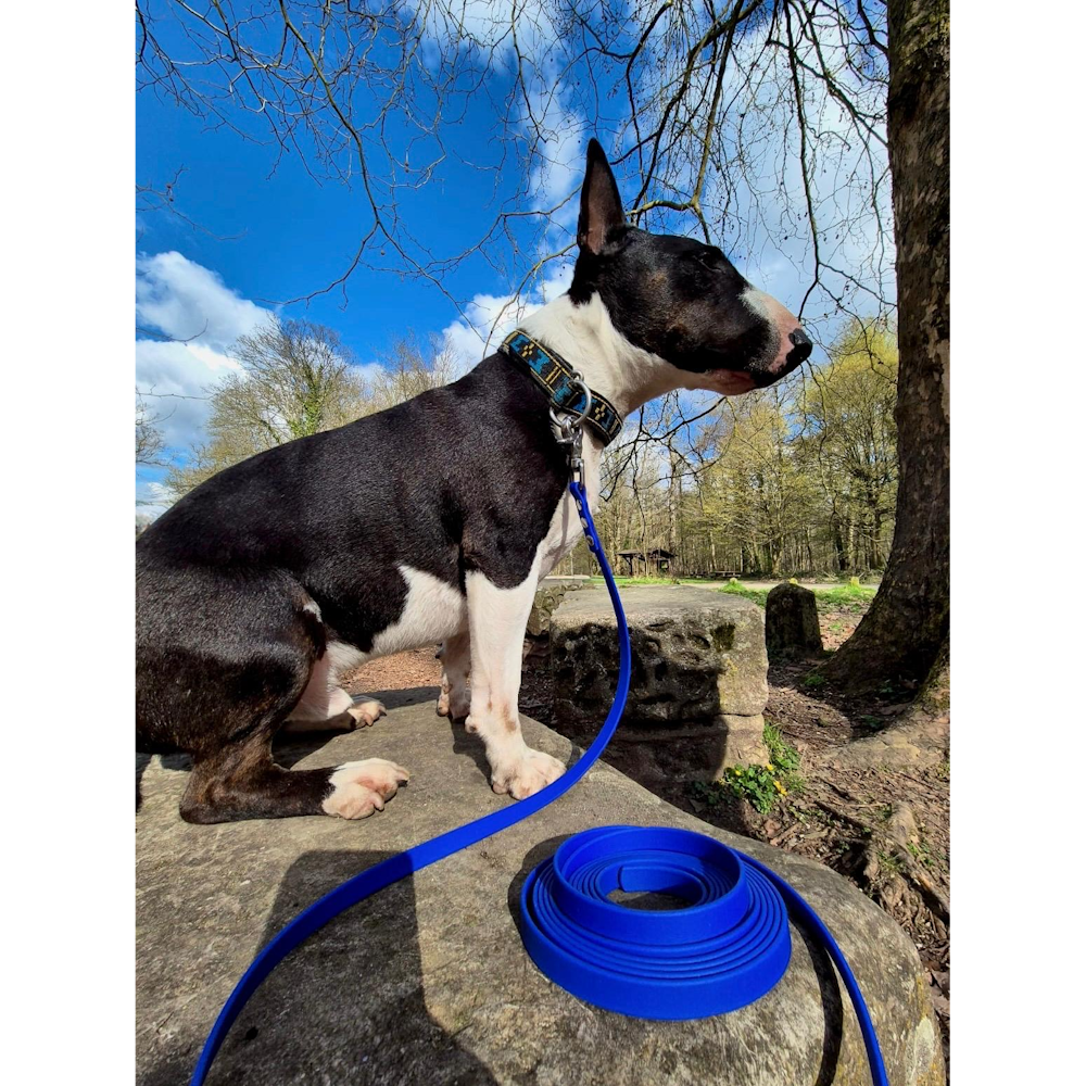Exemple biothane bleu
