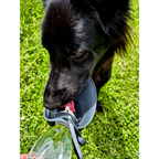 Bouteille d'eau