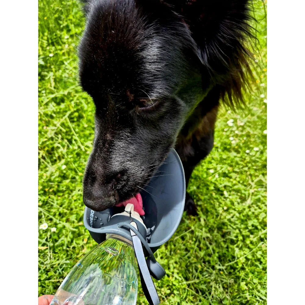 Bouteille d'eau