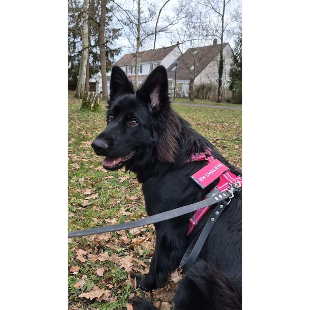 Exemple canicode en chaleur