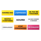 Canicode® à scratcher - nuancier