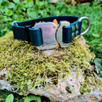 Collier réglable Cobra en BioThane® 25 mm