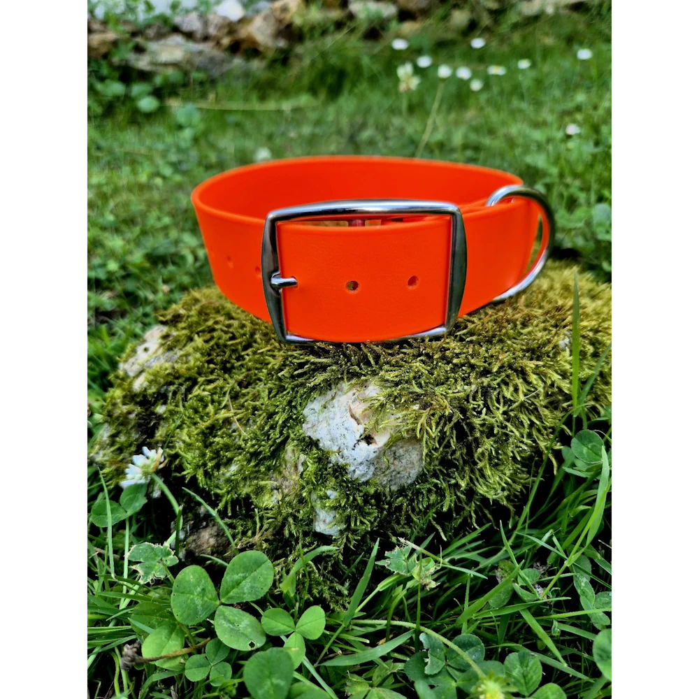 Collier biothane 38mm orange