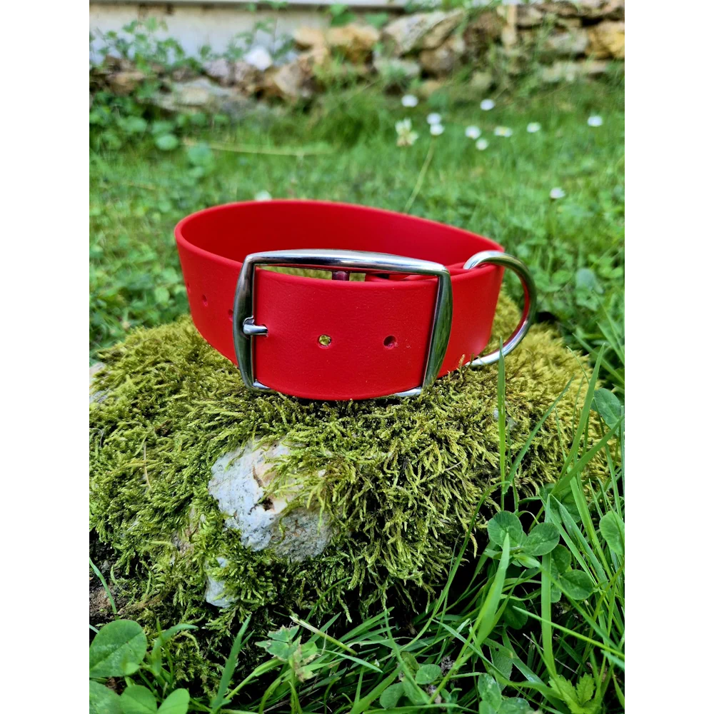 Collier biothane 38mm rouge
