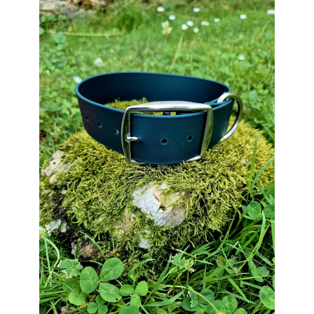 Collier biothane 38mm vert sapin