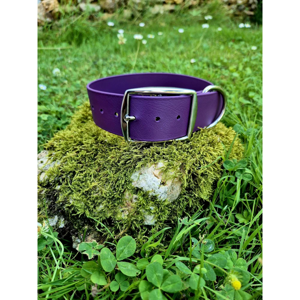 Collier biothane 38mm violet aubergine