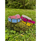 Collier Biothane acidulé