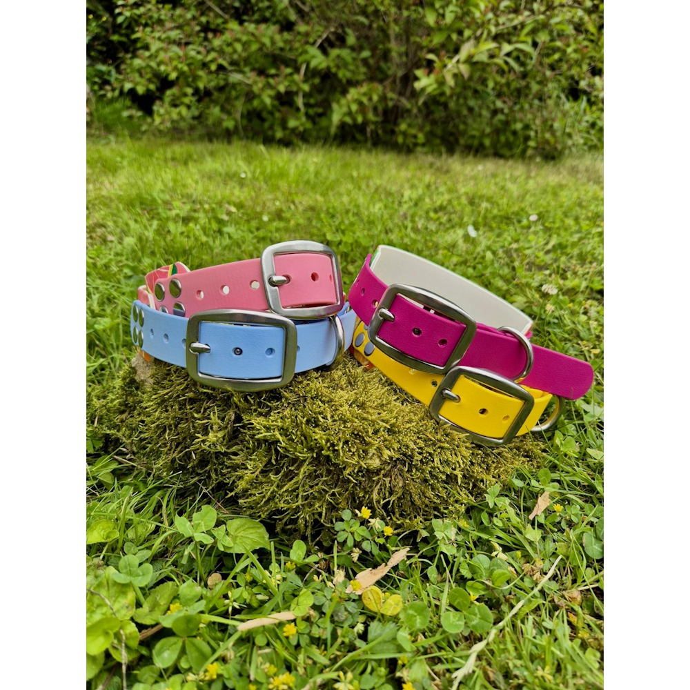 Collier Biothane acidulé