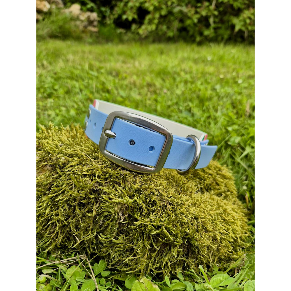 Collier Biothane acidulé bleu polaire