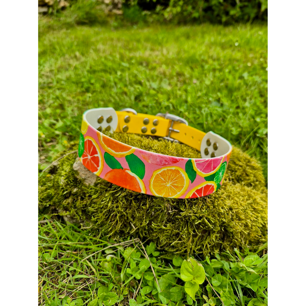 Collier Biothane acidulé jaune