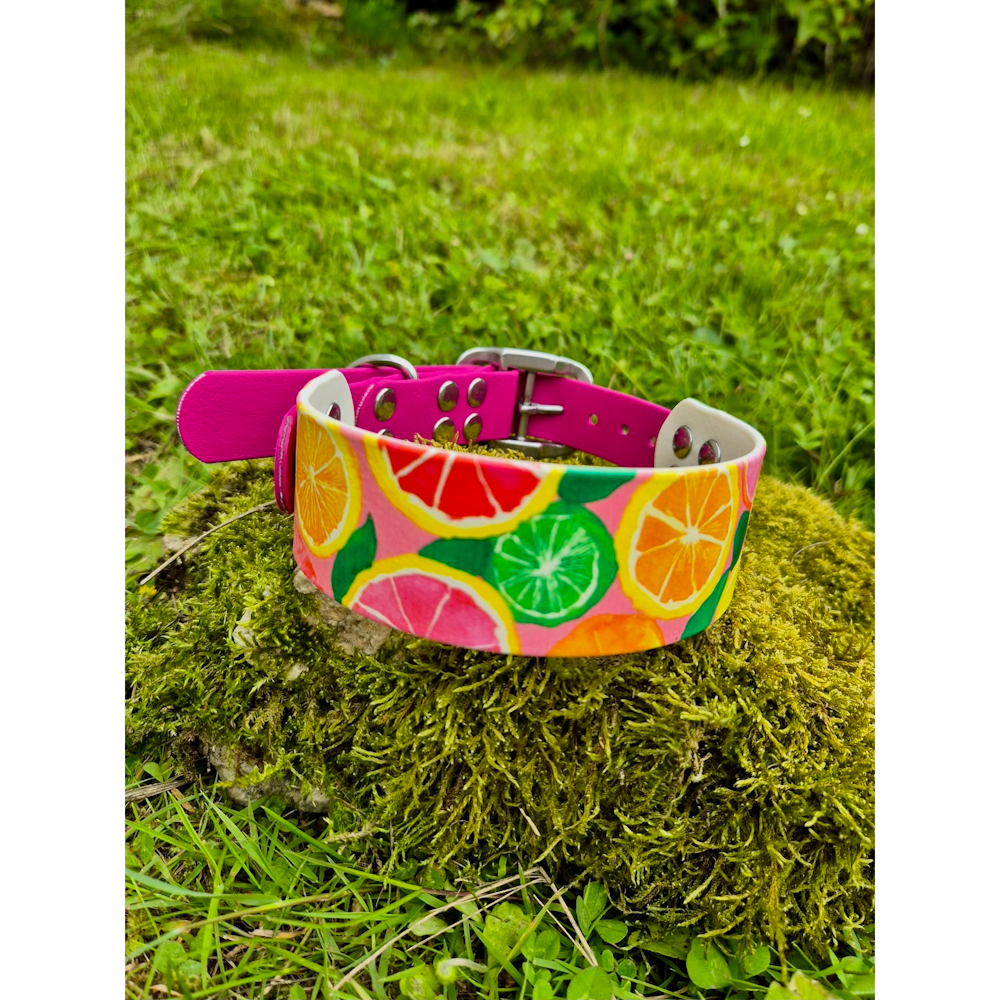 Collier Biothane acidulé rose magenta