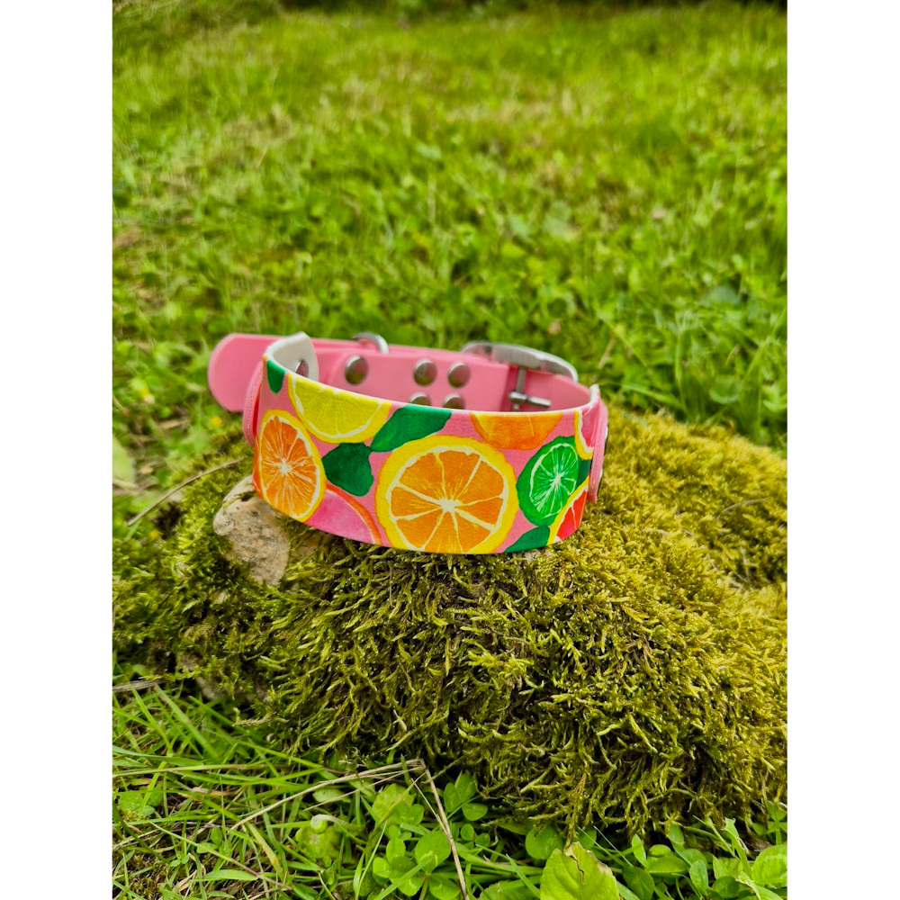 Collier Biothane acidulé rose pastel