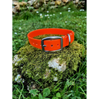 Collier biothane orange