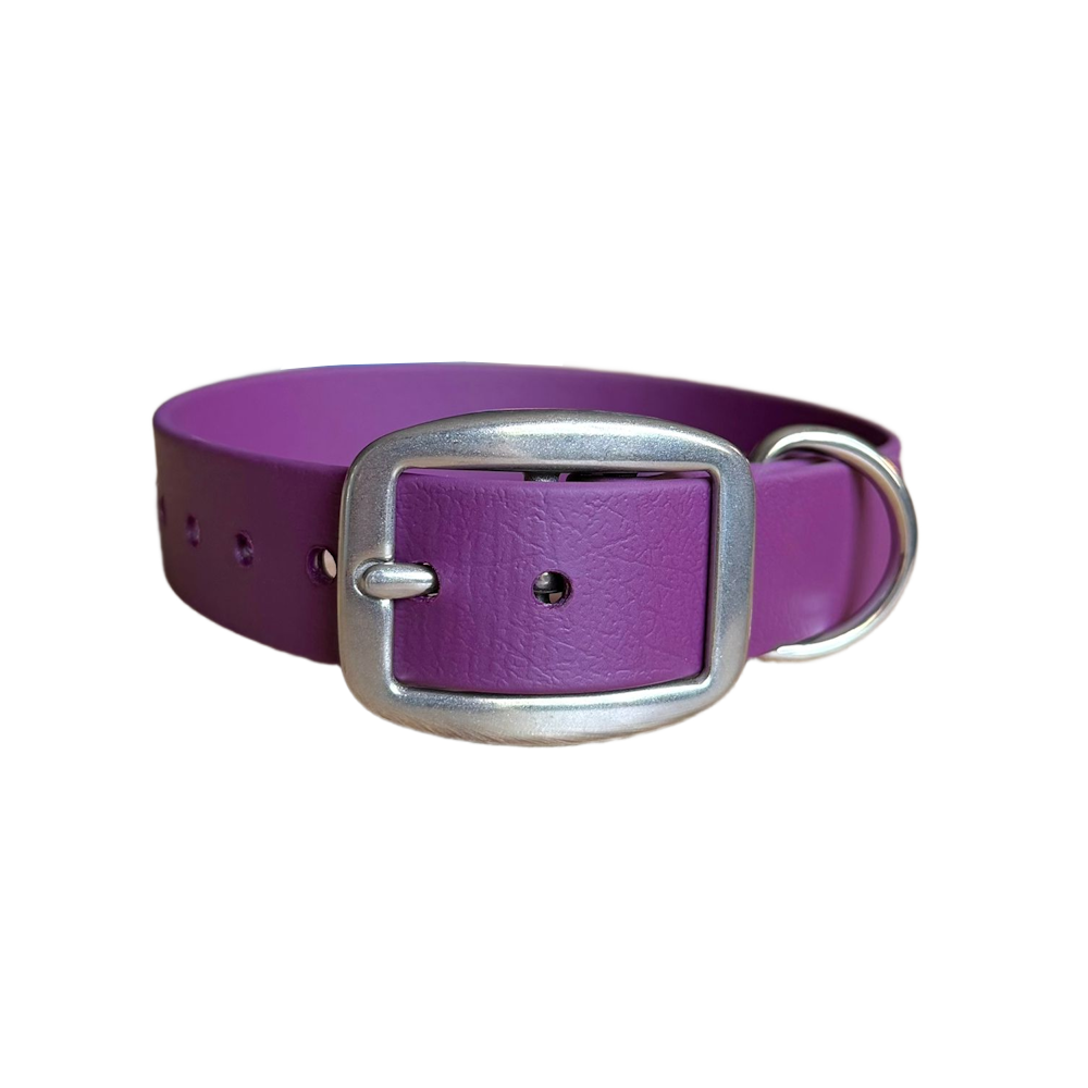 Collier biothane violet aubergine