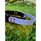 Collier poignée biothane 38mm