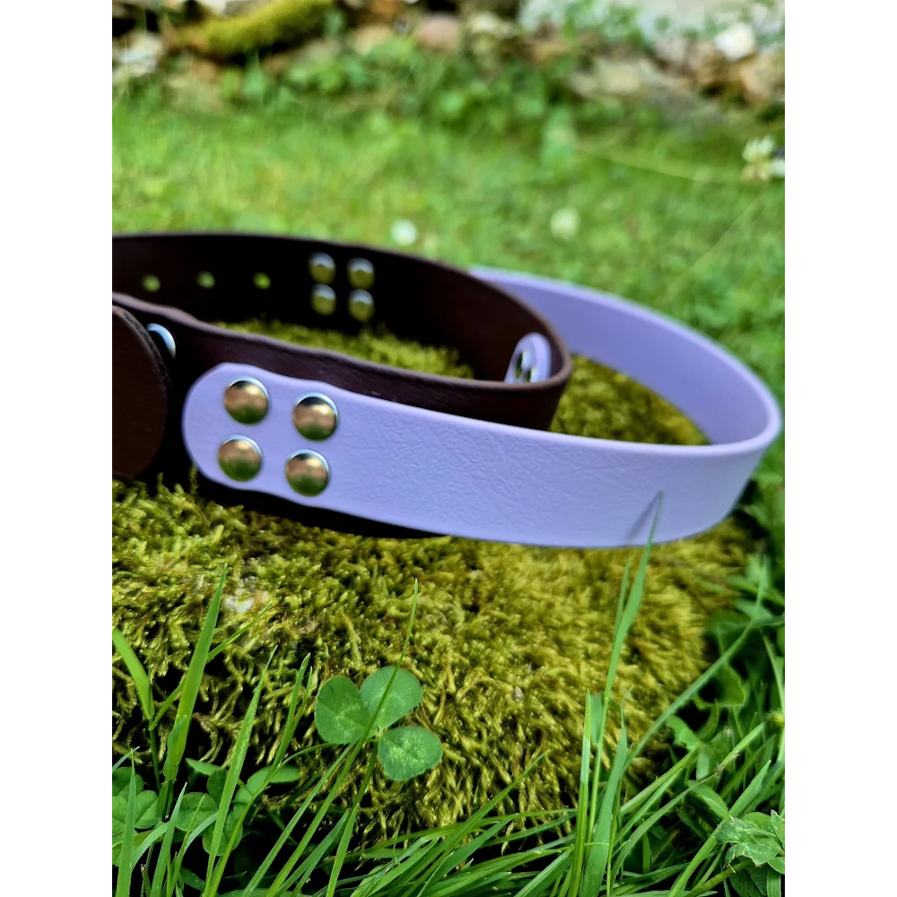 Collier poignée biothane 38mm