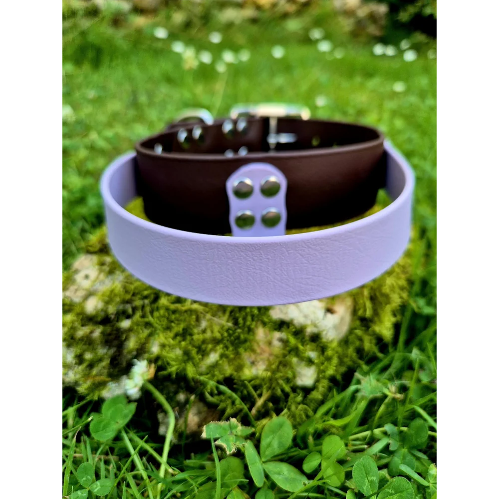 Collier poignée biothane 38mm