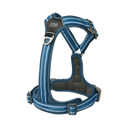 Harnais bleu