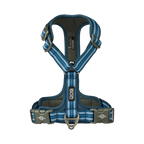 Harnais Bleu