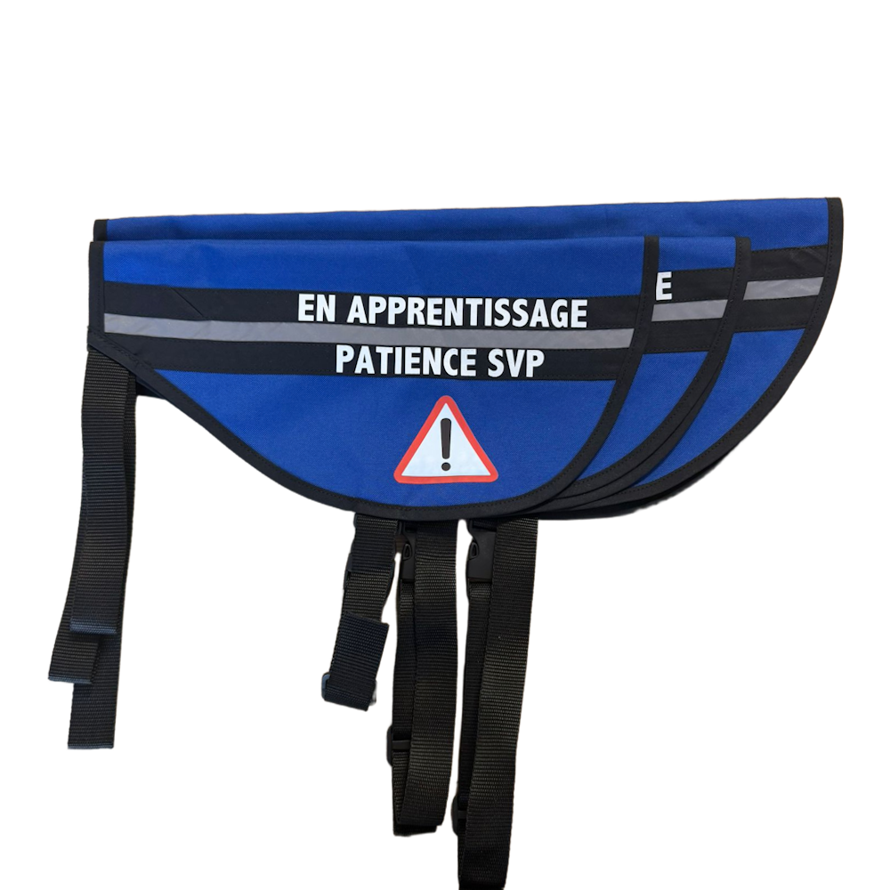 Dossard apprentissage