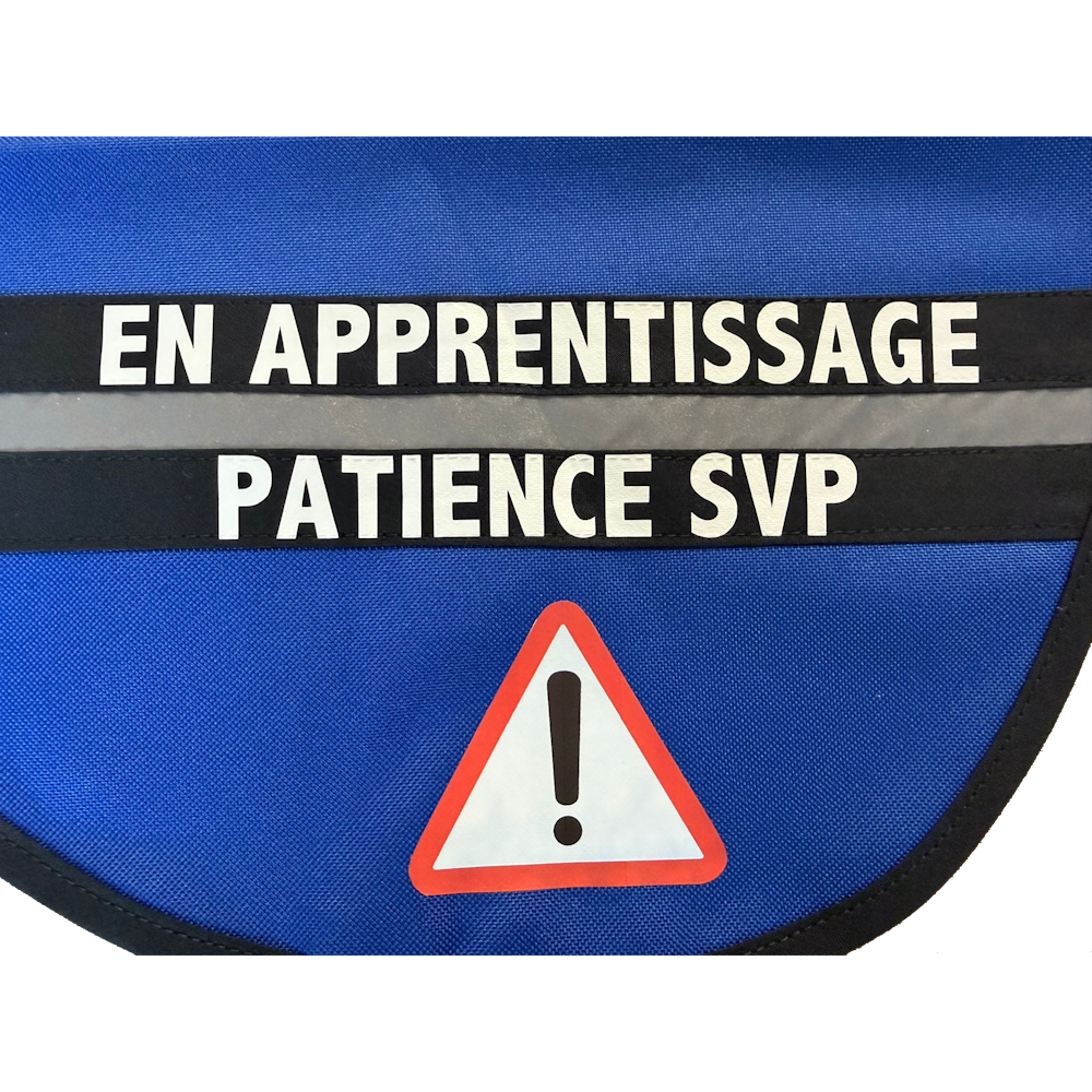 Dossard apprentissage