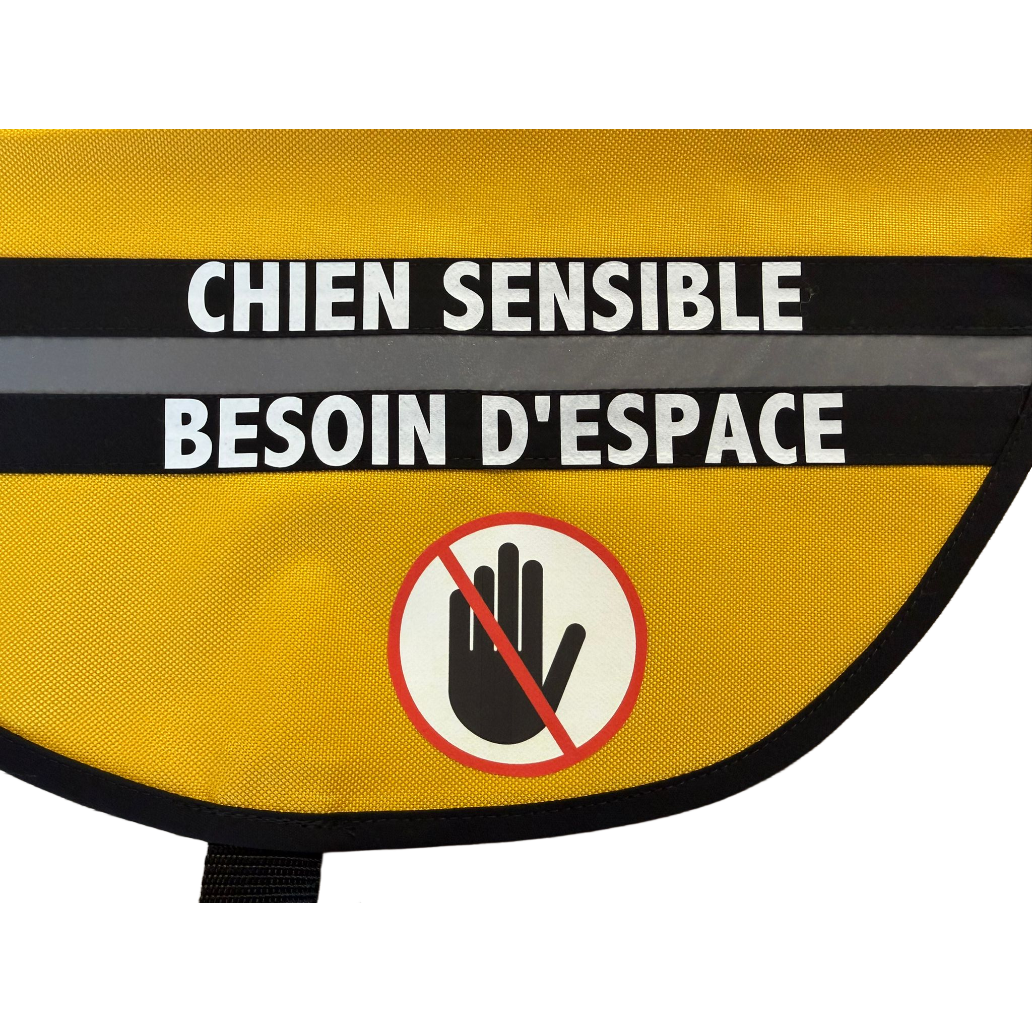 Dossard sensible