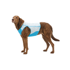 Gilet rafraîchissant bleu