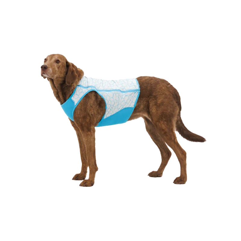 Gilet rafraîchissant bleu