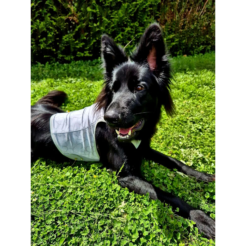Gilet rafraîchissant RUFFWEAR