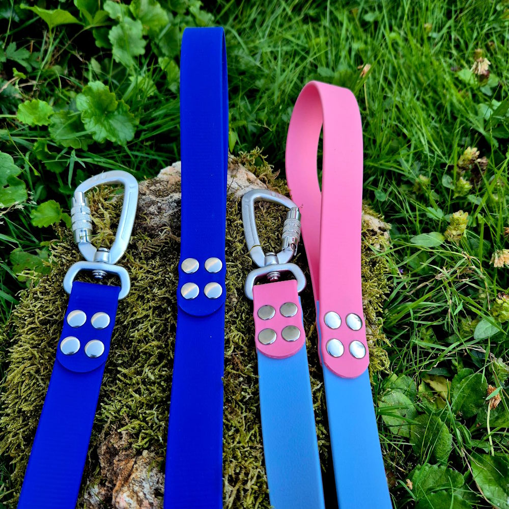 Laisse classique en BioThane® 25mm
