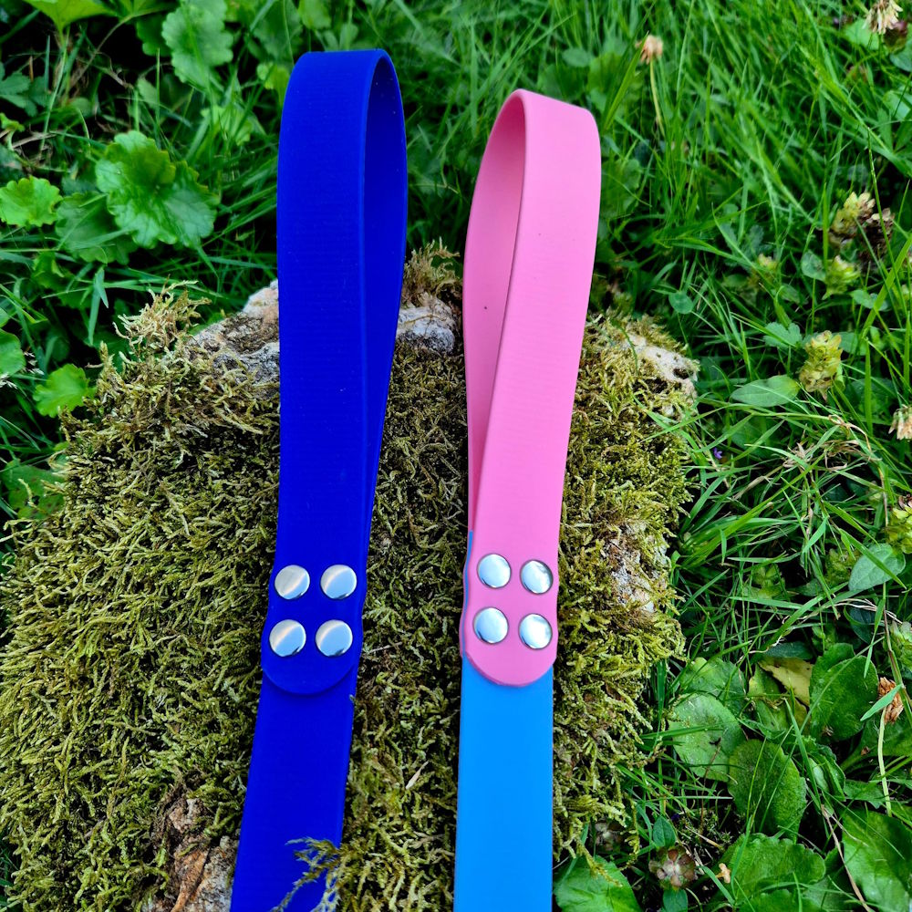 Laisse classique en BioThane® 25mm