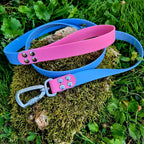 Laisse classique en BioThane® 25mm