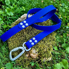 Laisse classique en BioThane® 25mm