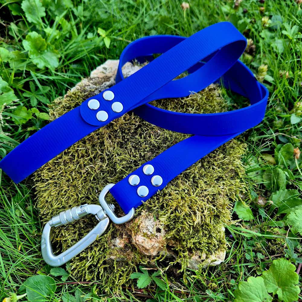 Laisse classique en BioThane® 25mm