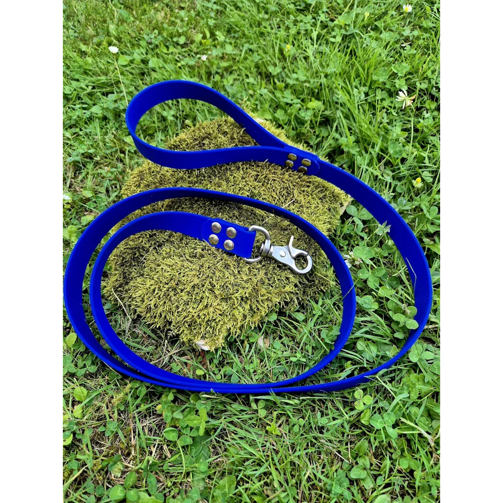 Laisse en biothane 25mm couleur unie
