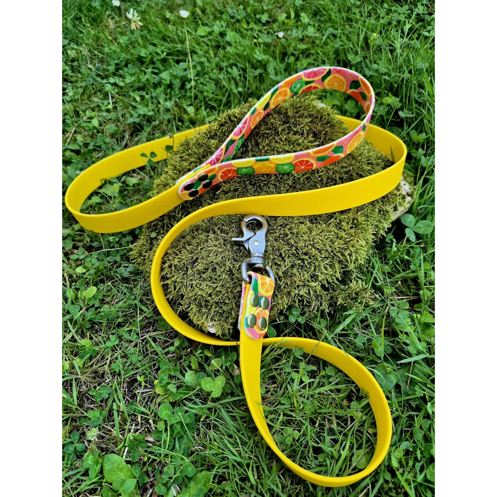 Laisse acidulee en biothane jaune