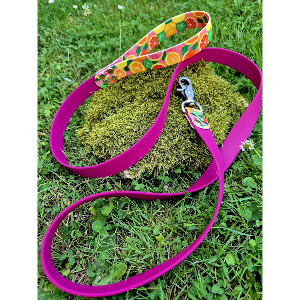 Laisse acidulee en biothane rose magenta