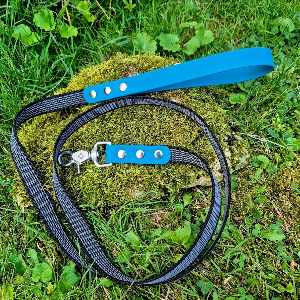 Laisse pawtex bleu canard