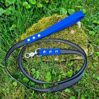 Laisse pawtex bleu