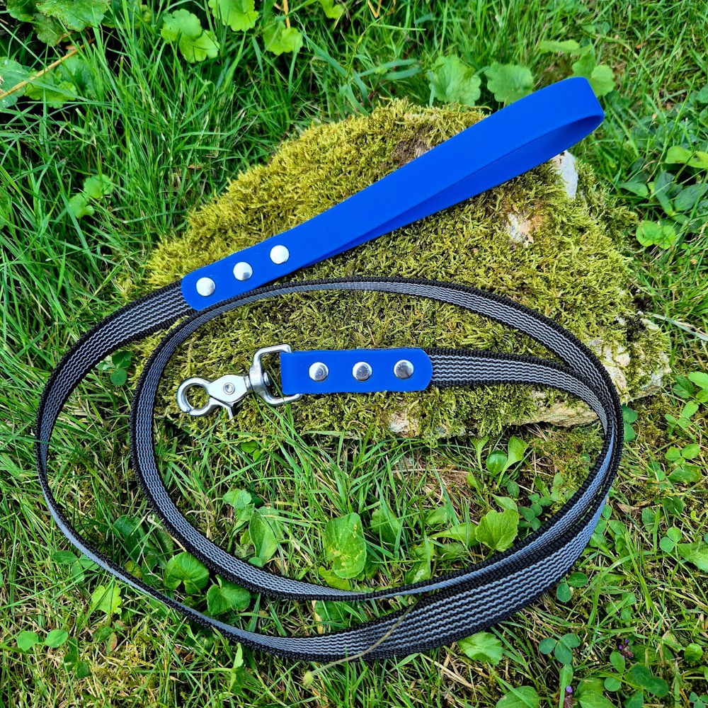 Laisse pawtex bleu
