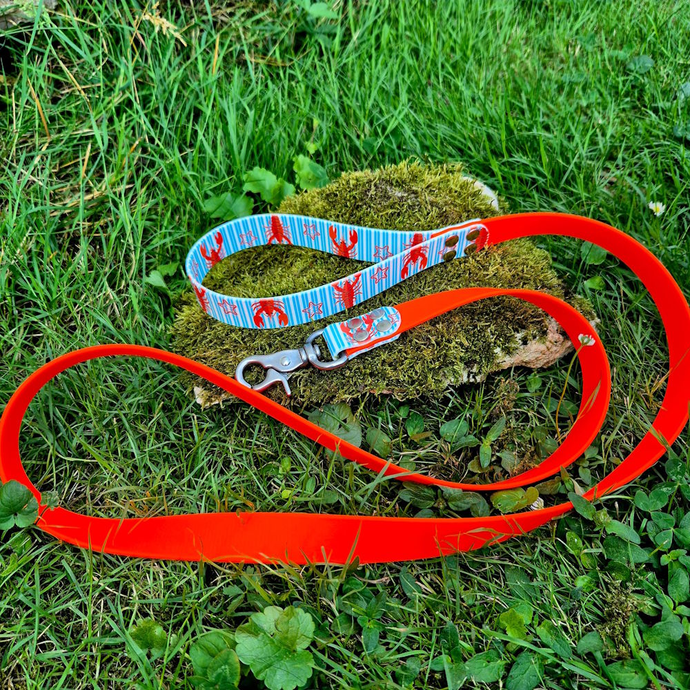 Laisse biothane 25mm collection crustacé