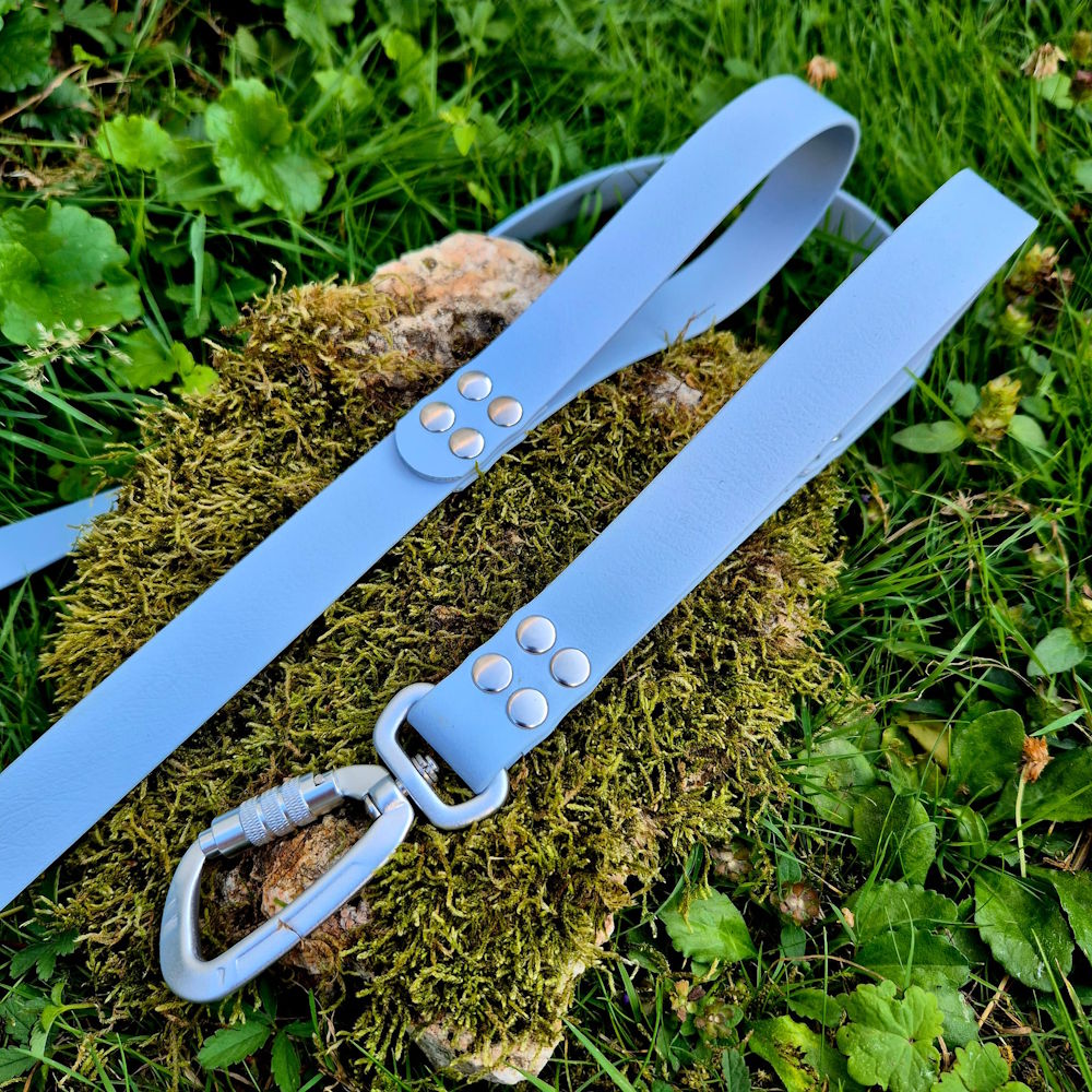 Laisse duo poignée en BioThane® 25mm