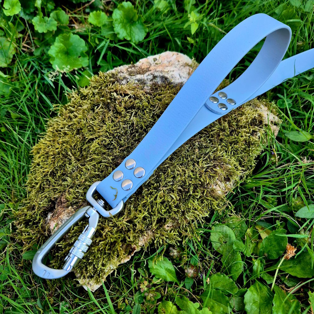 Laisse duo poignée en BioThane® 25mm