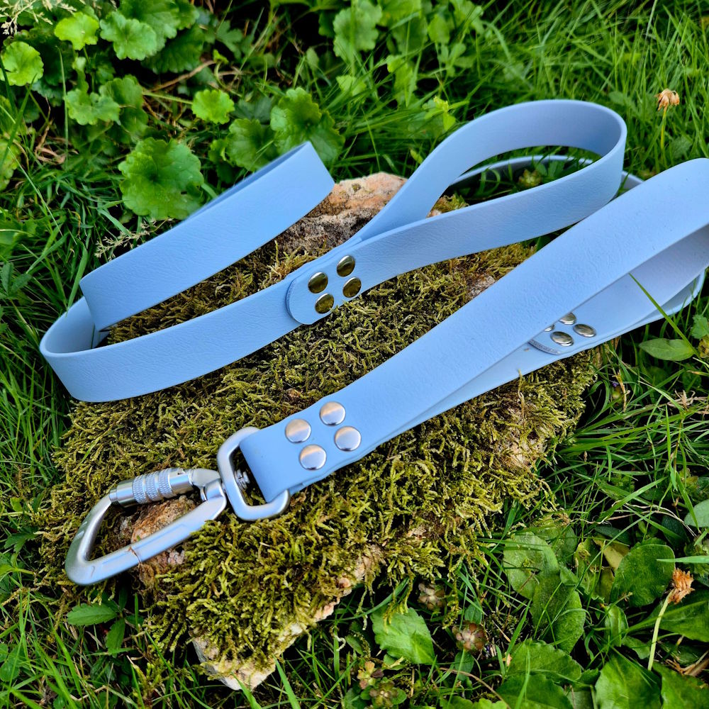Laisse duo poignée en BioThane® 25mm