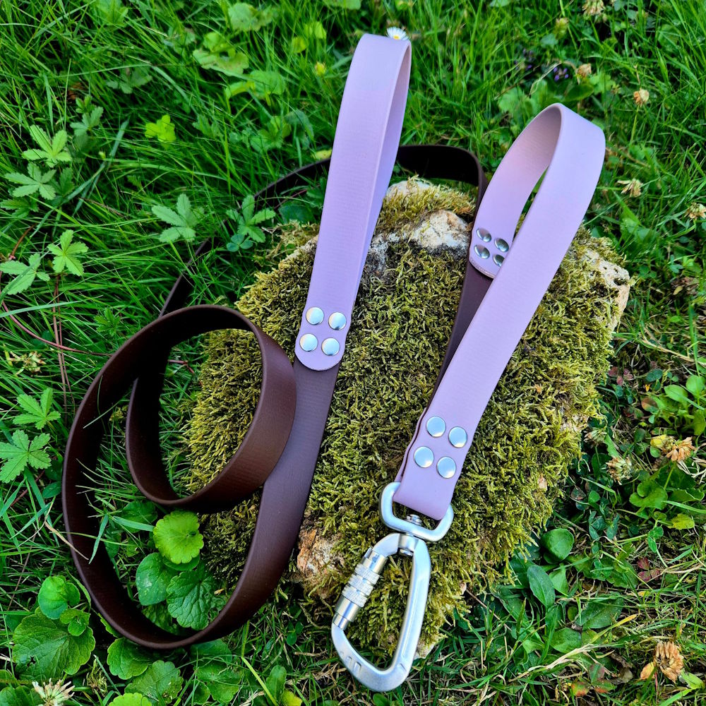 Laisse duo poignée en BioThane® 25mm