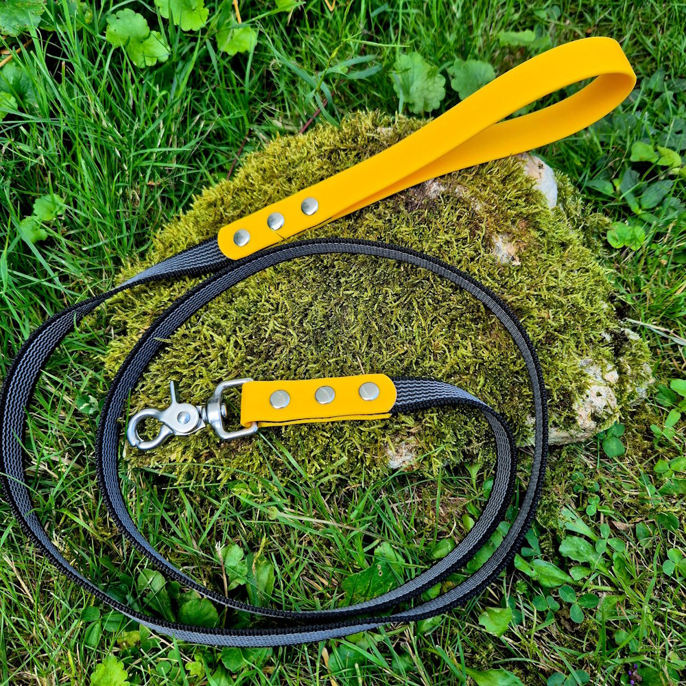 Laisse pawtex jaune