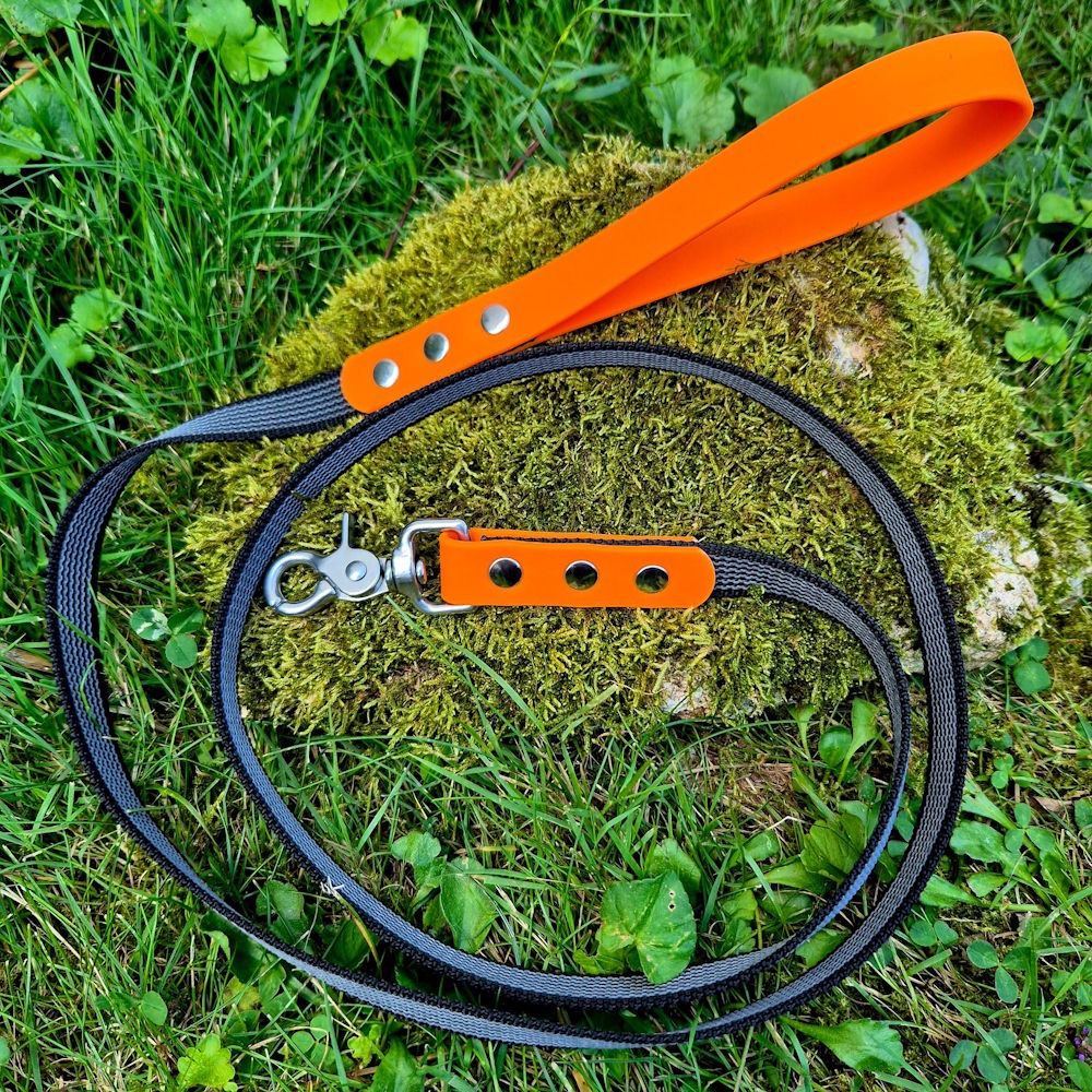 Laisse pawtex orange