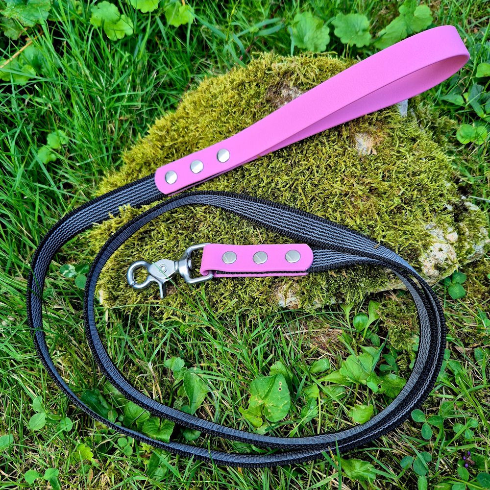 Laisse pawtex rose lavande