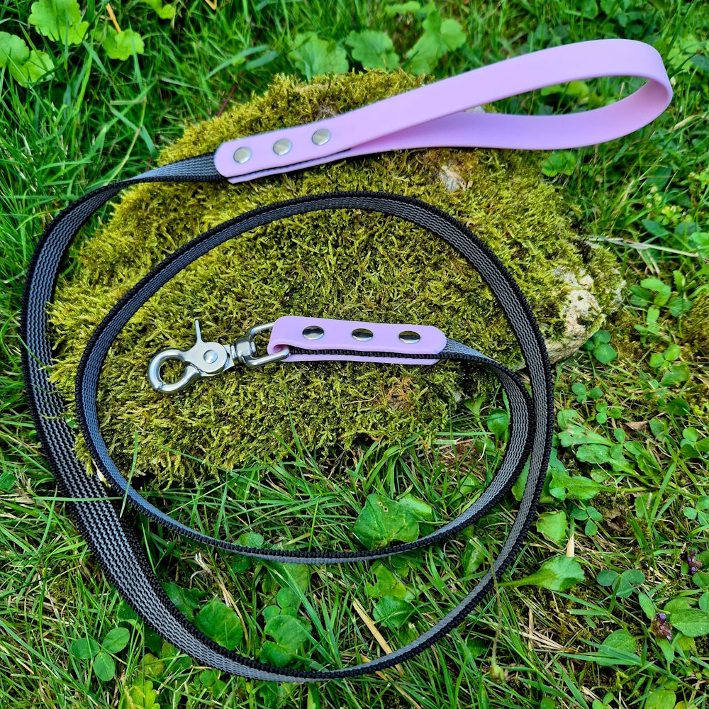 Laisse pawtex rose lilas